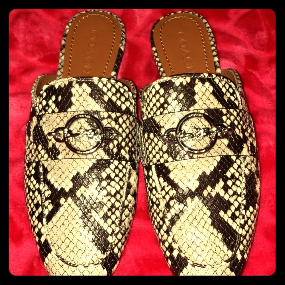 Coach Snakeskin flats